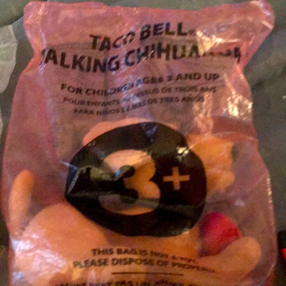 Two taking bell chihuahuas